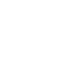 STRANGE TRIP